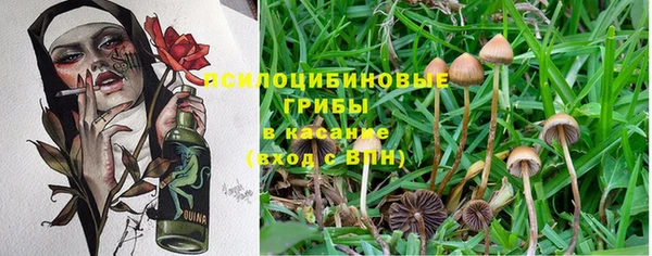 марихуана Горно-Алтайск