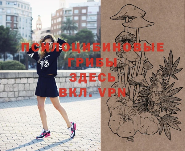 MDMA Горнозаводск
