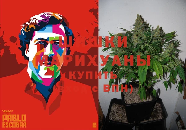 MDMA Горнозаводск