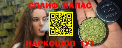 твердый Бийск