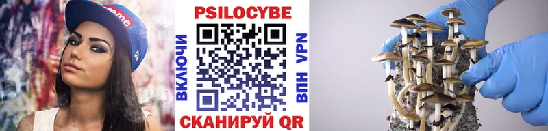 Галлюциногенные грибы Psilocybine cubensis  Дедовск 