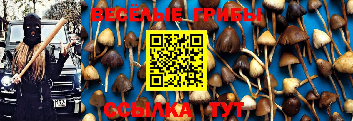 Галлюциногенные грибы MAGIC MUSHROOMS Дедовск
