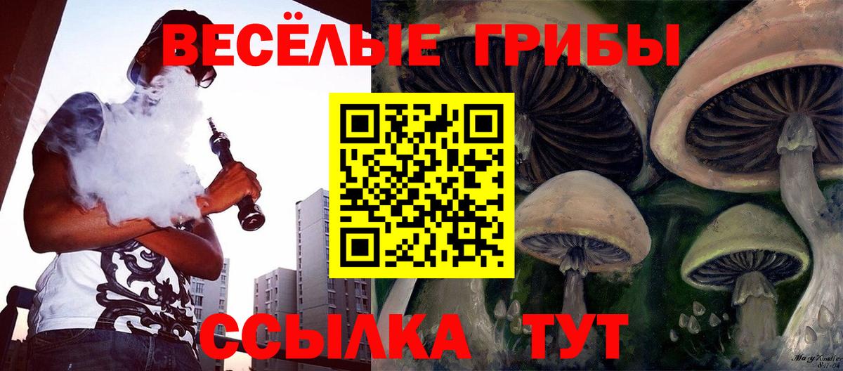 Псилоцибиновые грибы Psilocybe  Дедовск  Галлюциногенные грибы Cubensis 