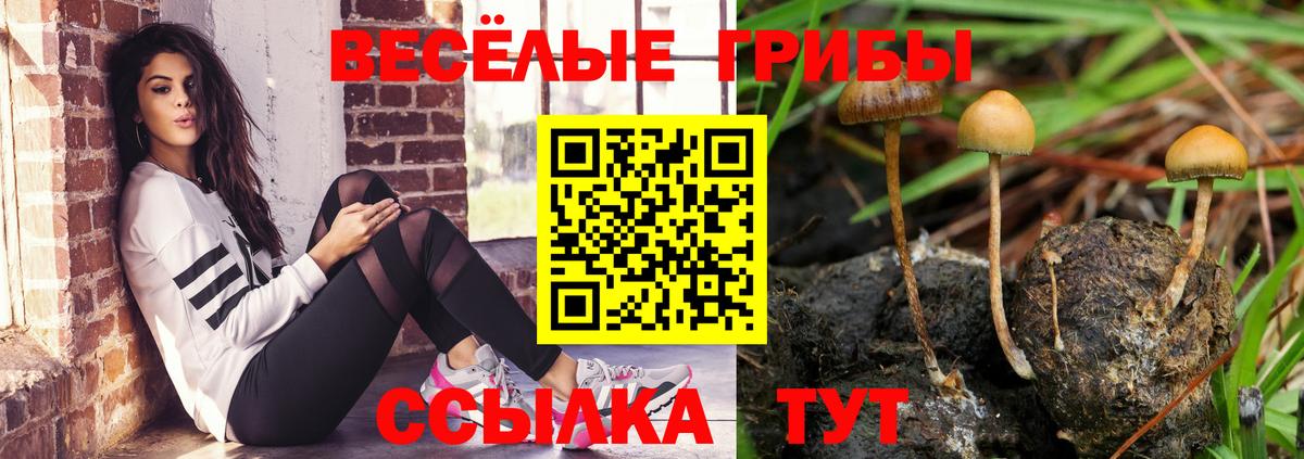 Псилоцибиновые грибы Magic Shrooms  Вход с VPN  Галлюциногенные грибы Magic Shrooms  Дедовск 