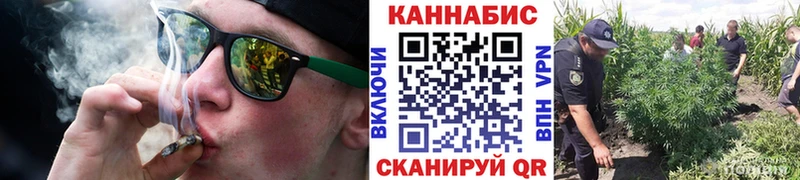 Бошки Шишки Ganja  купить   мега онион  Дедовск 